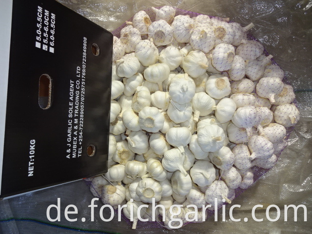 Fresh Pure White Garlic 2019